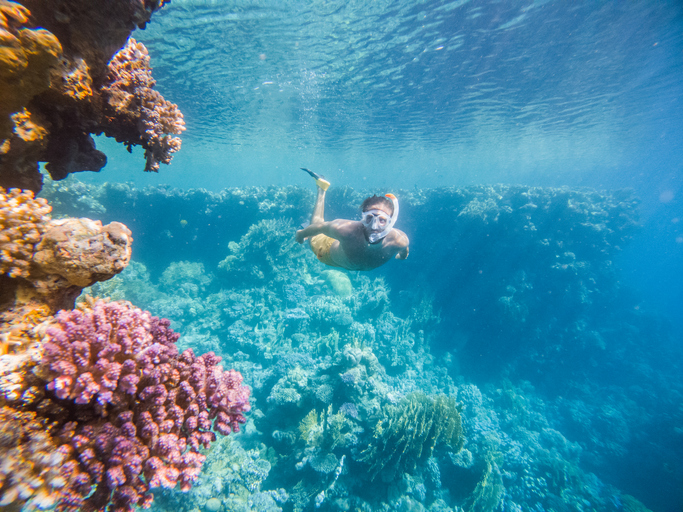 Coral Reefs and Snorkeling