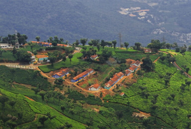 nilgiri mountain foothills