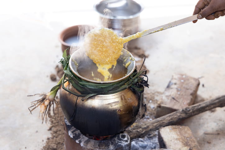 Pongal in Tamil Nadu